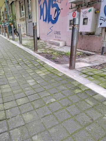 Φωτογραφία 4